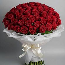 Букет 101 Красная роза Блэк Мэджик в Архиповке