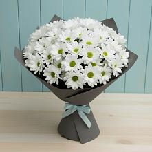 Букет цветов из:  Хризантемы #REPLACE_PRED# Архиповке