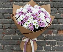 Букет цветов из:  Хризантемы #REPLACE_PRED# Архиповке