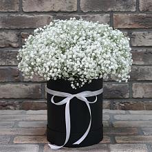 Цветочная композиция из Гипсофила в шляпной коробке #REPLACE_PRED# Архиповке