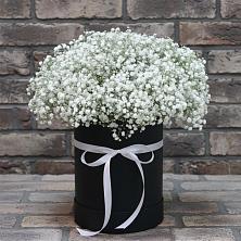 Цветочная композиция из Гипсофила в шляпной коробке в Архиповке