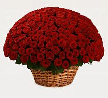 Премиум букет из: Розы в Архиповке